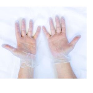 Preema Large Vinyl Clear Gloves (Powdered)